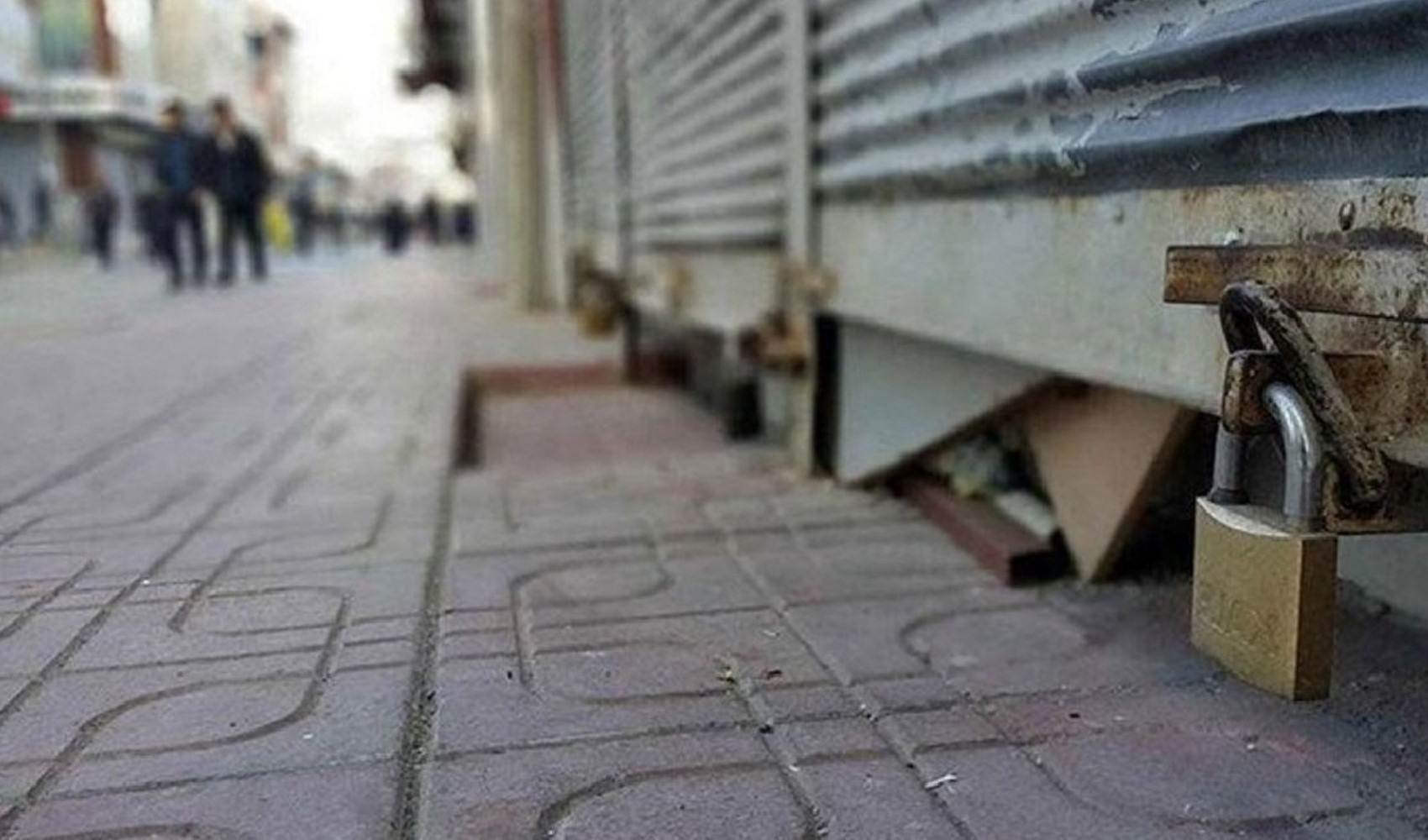 Kepenk indiren şirket sayısında büyük artış