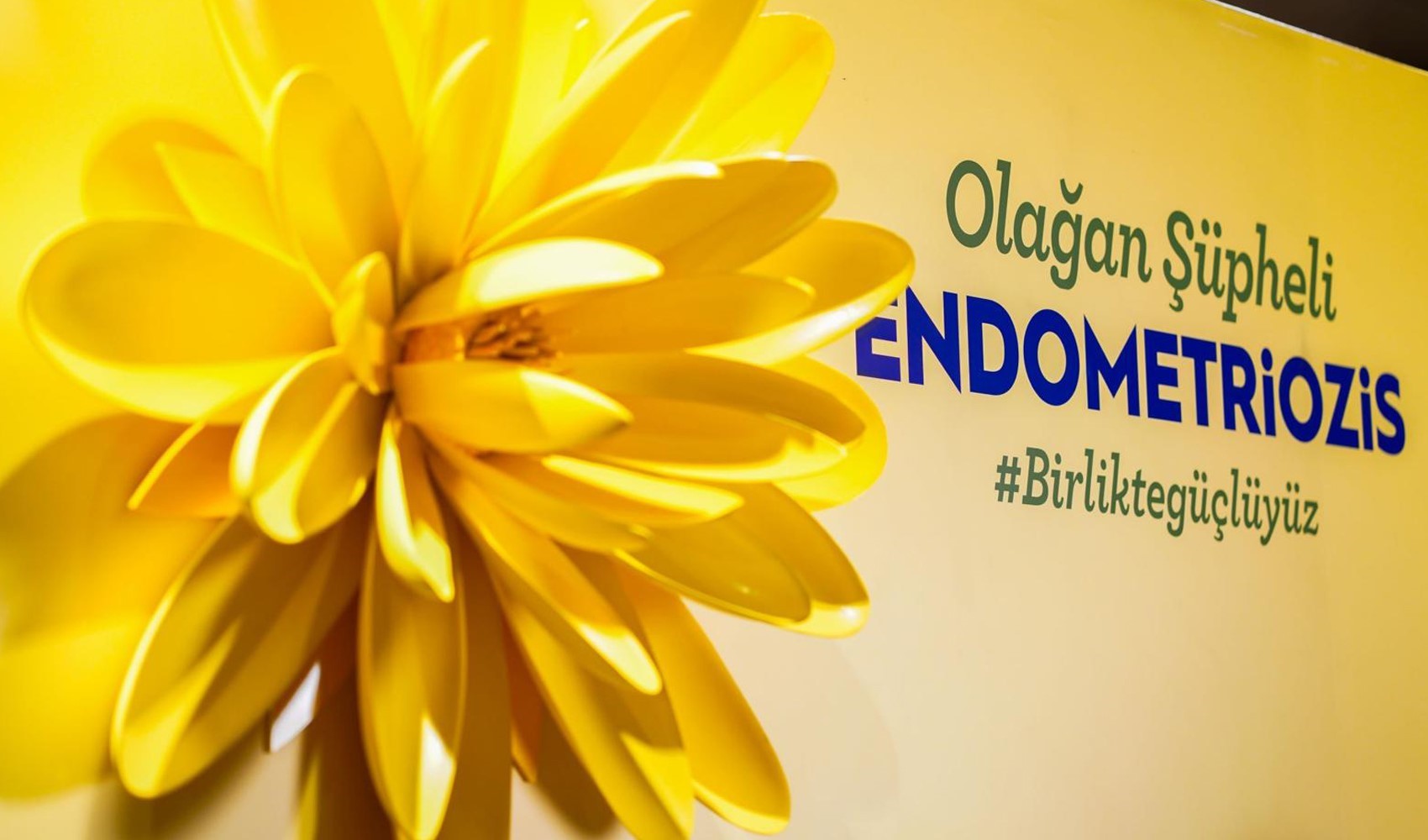 Ağrısı çok, tanısı geç hastalık: Tanı konulması 7-10 yılı bulabiliyor