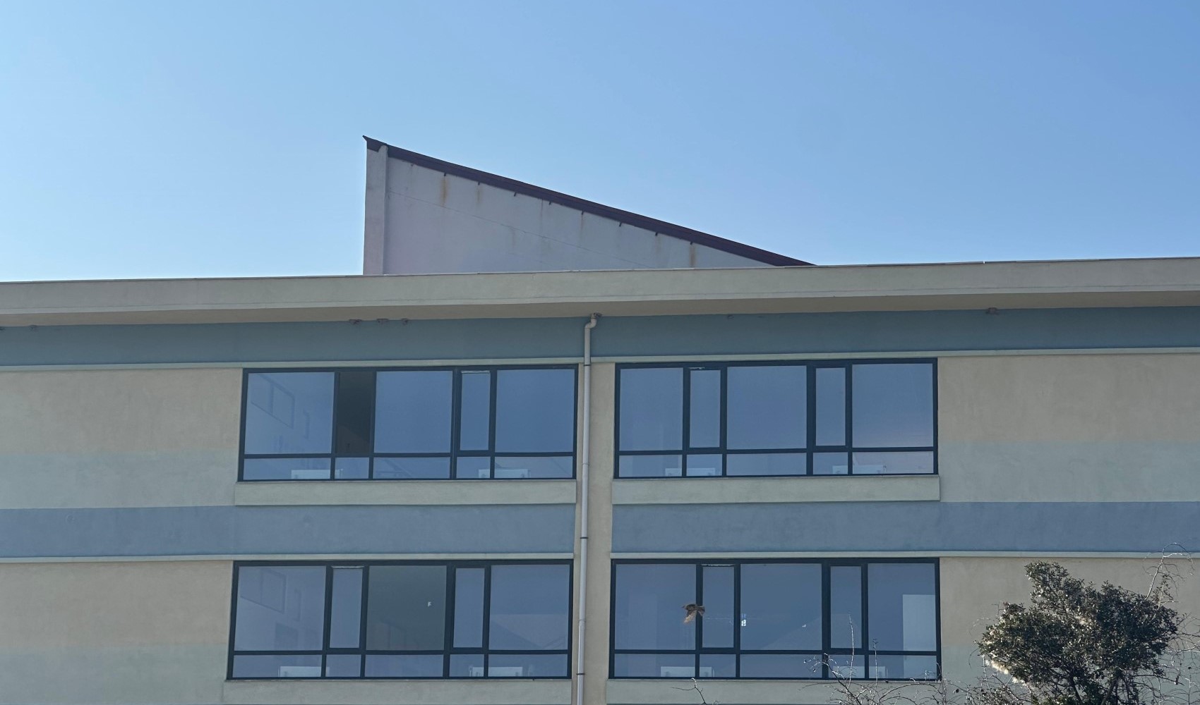 Lise öğrencisi okulun 3. katından atlayarak hayatını kaybetti