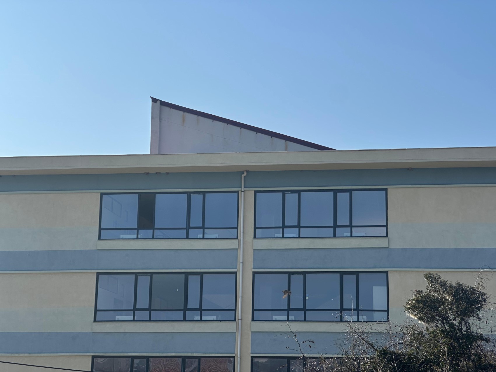 Lise öğrencisi okulun 3. katından atlayarak hayatını kaybetti