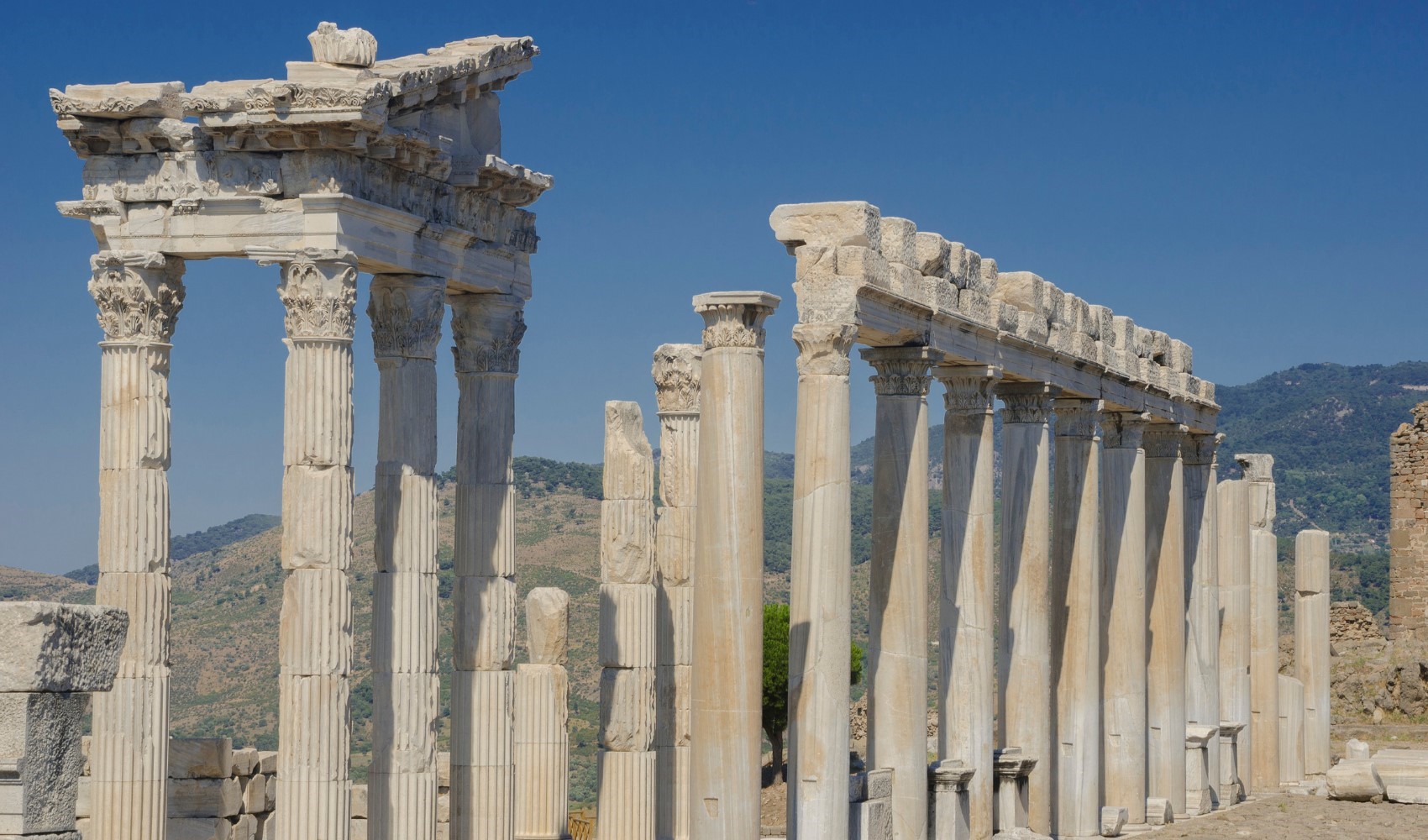 Bergama’da 2. Galenos Papatya Festivali Başladı!