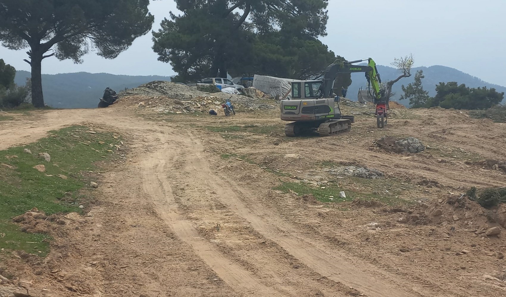 Aydın Çine’de gece yarısı kıyımı: 500 ağaç 'Yanlışlıkla' kesildi