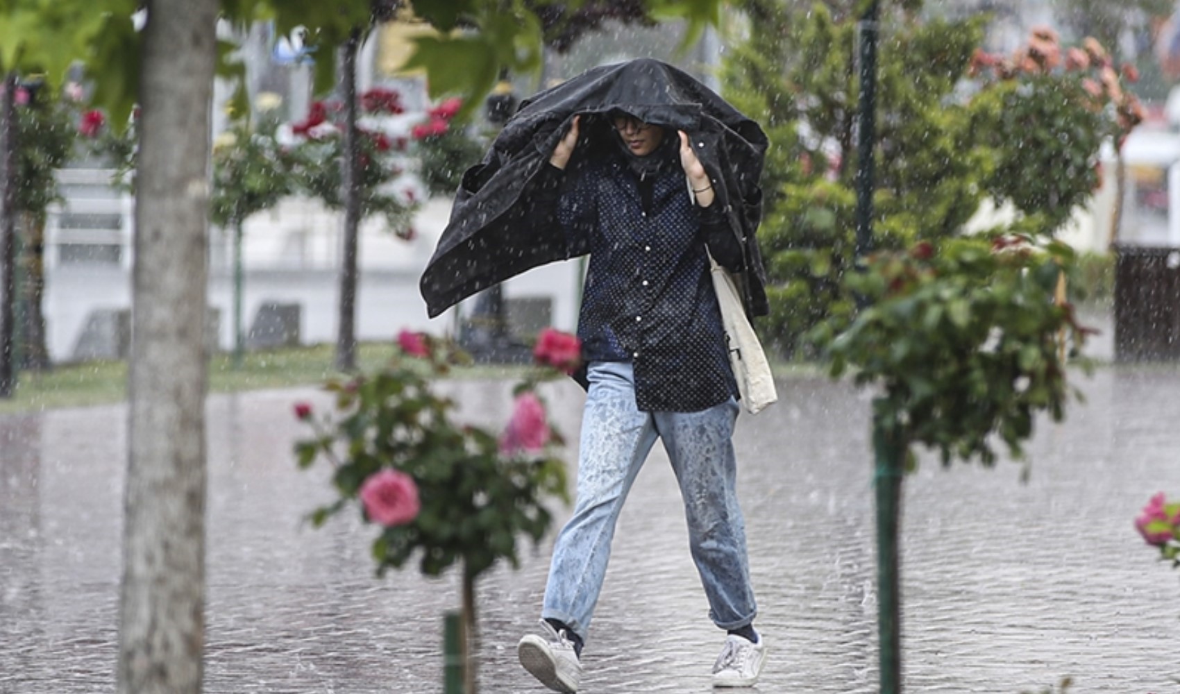 Meteoroloji'den 6 kent için sarı kodlu uyarı: Sıcaklık 5 derece düşecek, kuvvetli yağış ve fırtına geliyor