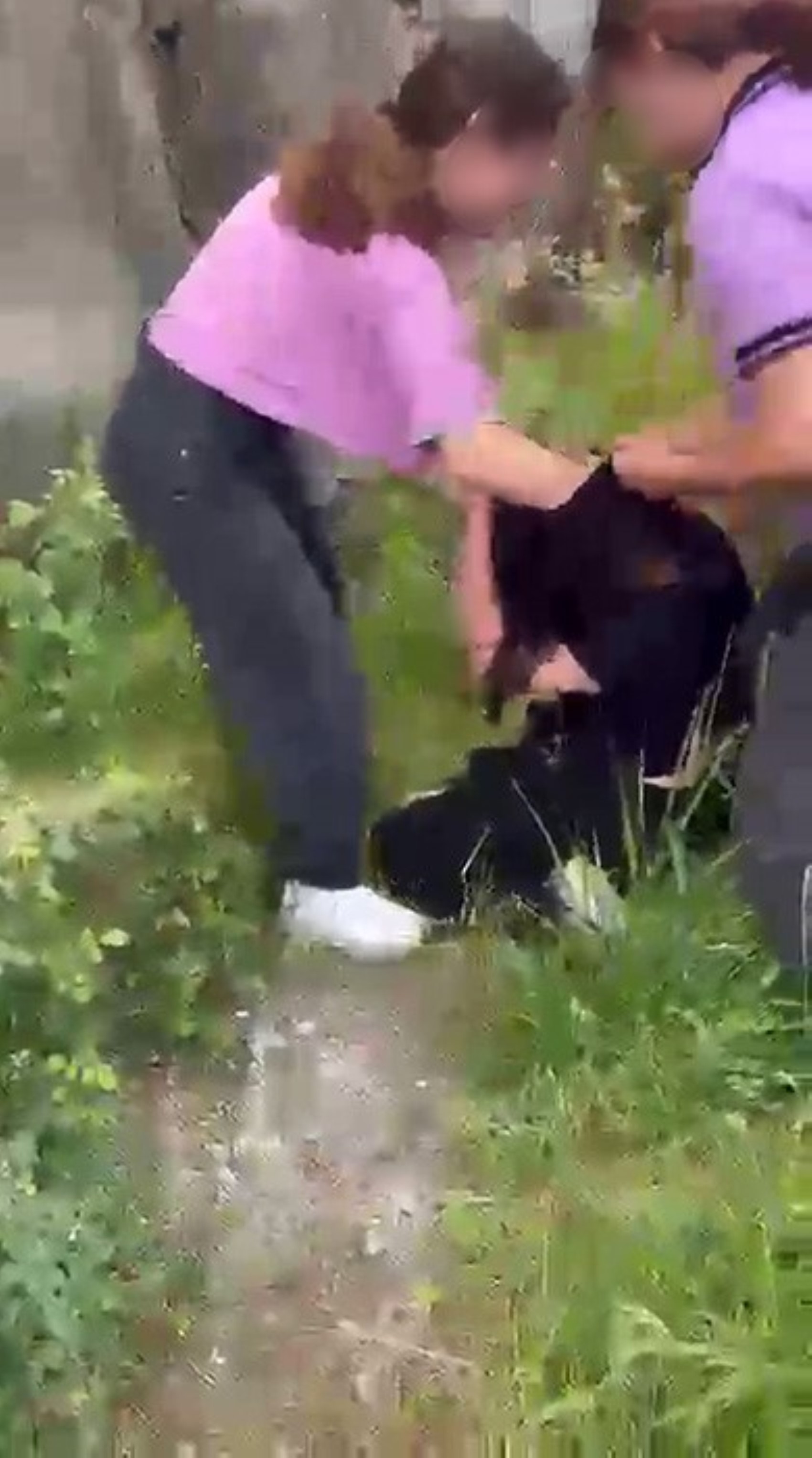 Akran zorbalığı cinsiyet dinlemiyor: Şikayetçi olursan daha kötü döveriz