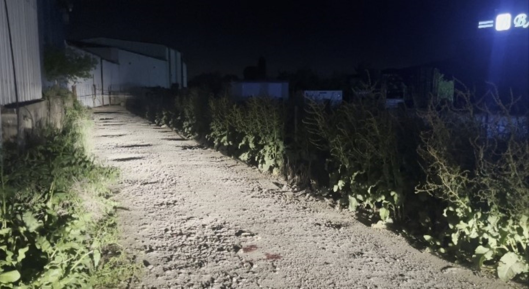 Depoya kurşun yağmuru: Avukat hayatını kaybetti, kardeşi yaralandı