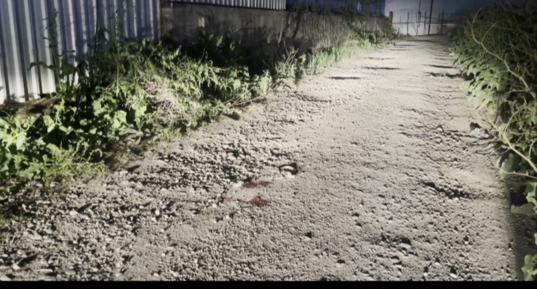 Depoya kurşun yağmuru: Avukat hayatını kaybetti, kardeşi yaralandı