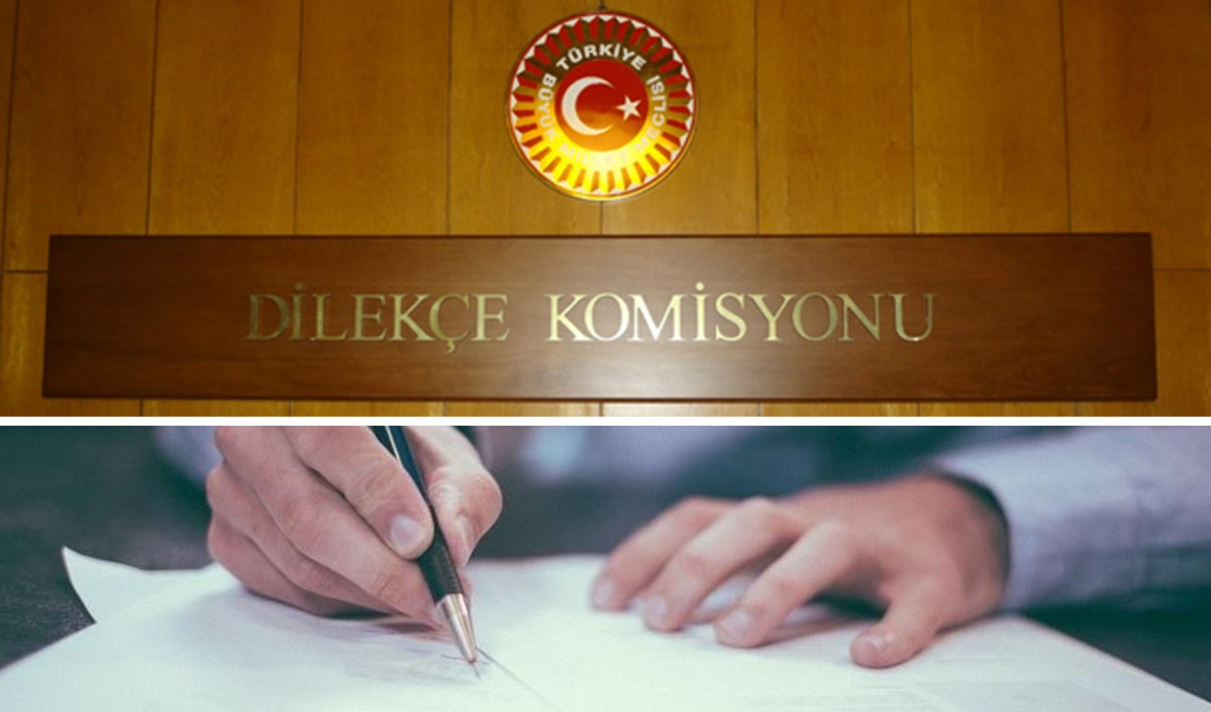 Yurttaşlardan Meclis'e sıra dışı talepler: TBMM Dilekçe Komisyonu'na gelen istekler pes dedirtti