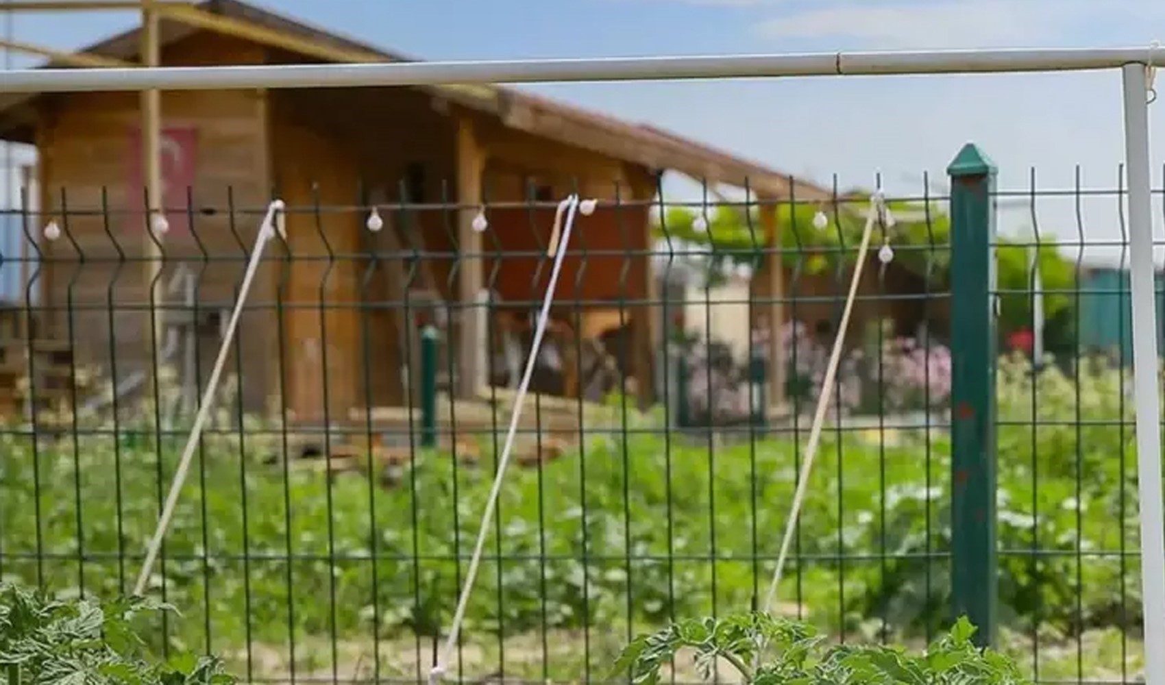 Hobi bahçeleri ve trafik cezaları için yeni düzenlemeler yolda: Tayyar'dan kulis bilgisi