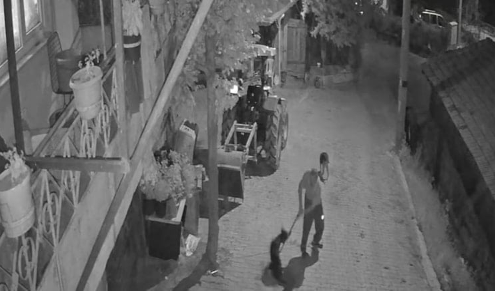 Tasmalı köpeğe demir çubukla saldıran şahıs tutuklandı