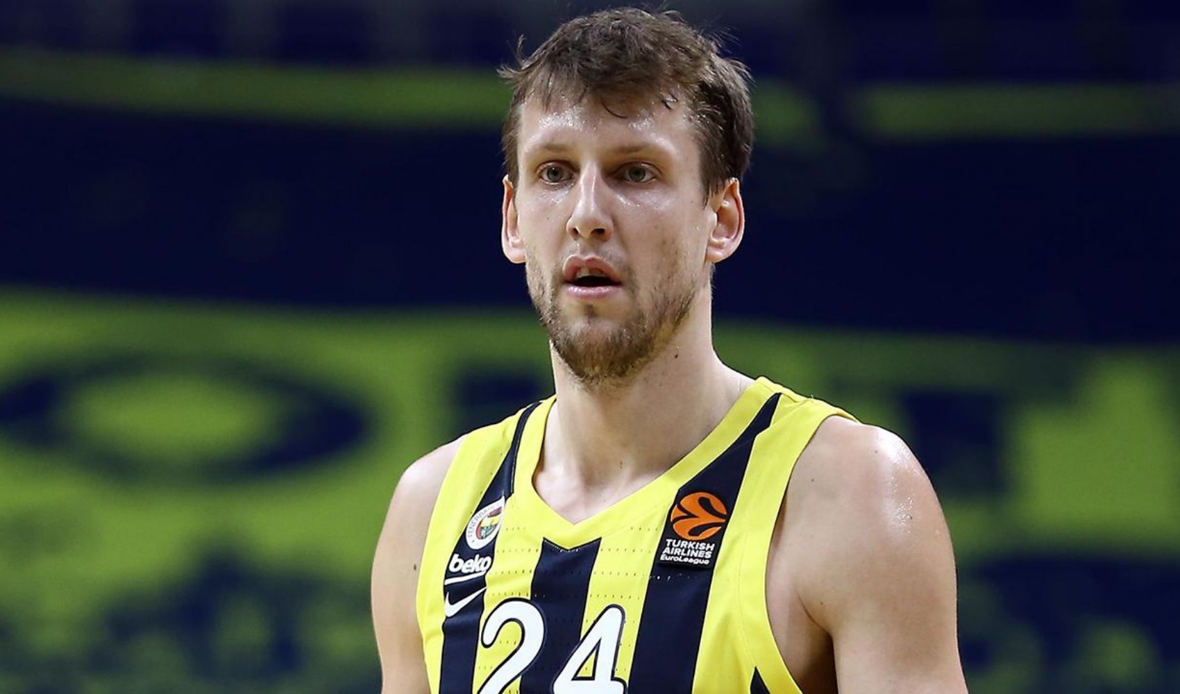 Jan Vesely'den emeklilik kararı