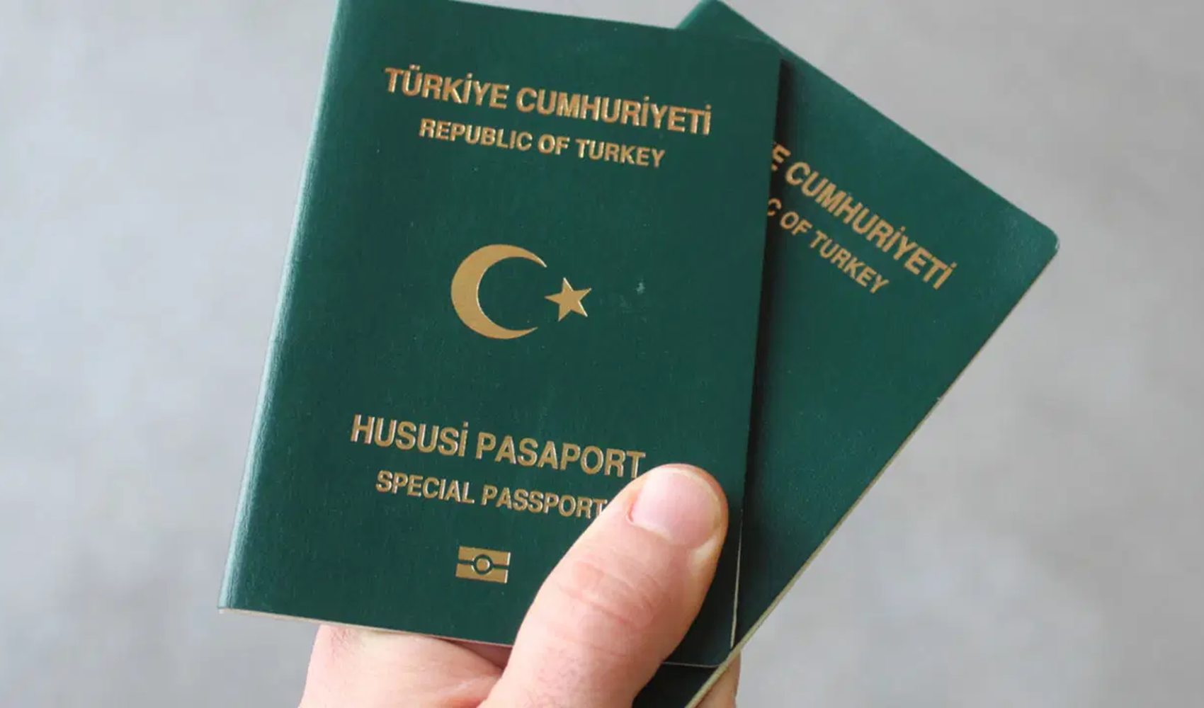 Yeşil pasaport isteyen meslek grupları Meclis’te gündeme taşındı