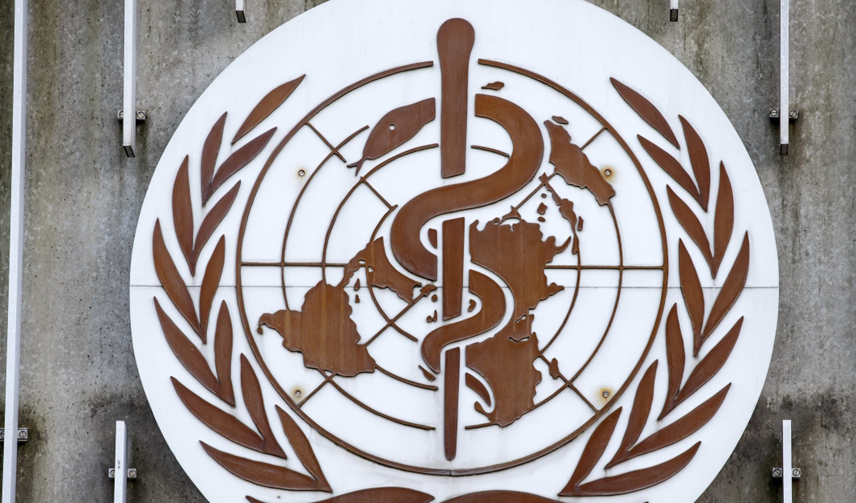 'Ebola salgını' uyarısı