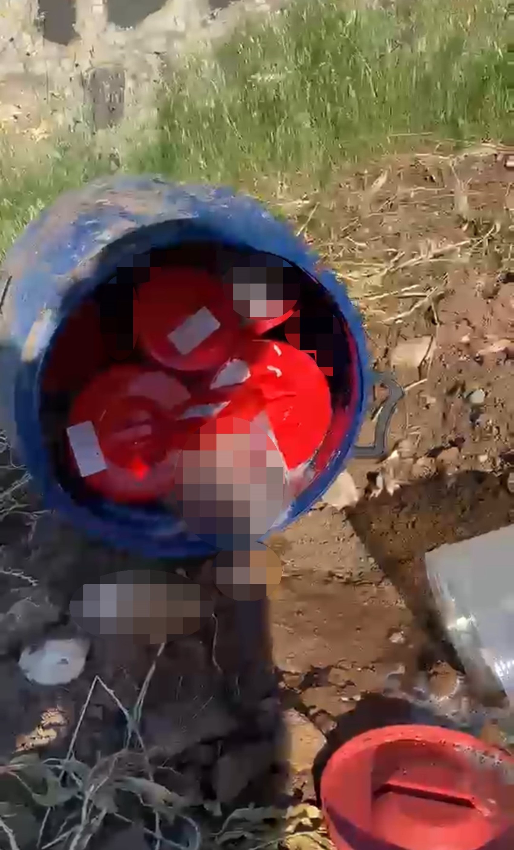 Plastik kutularda 21 cenin bulundu: Valilikten açıklama