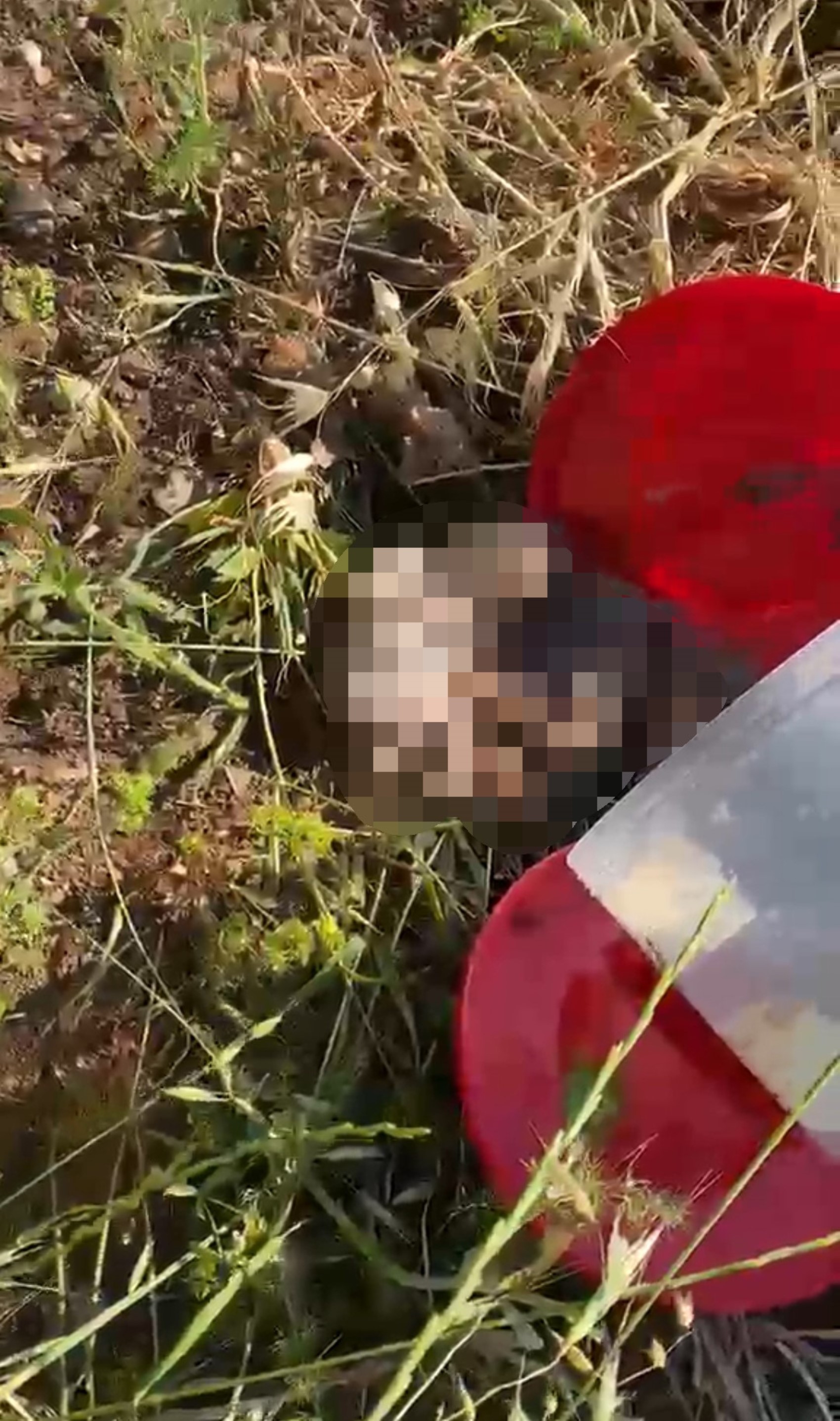 Plastik kutularda 21 cenin bulundu: Valilikten açıklama
