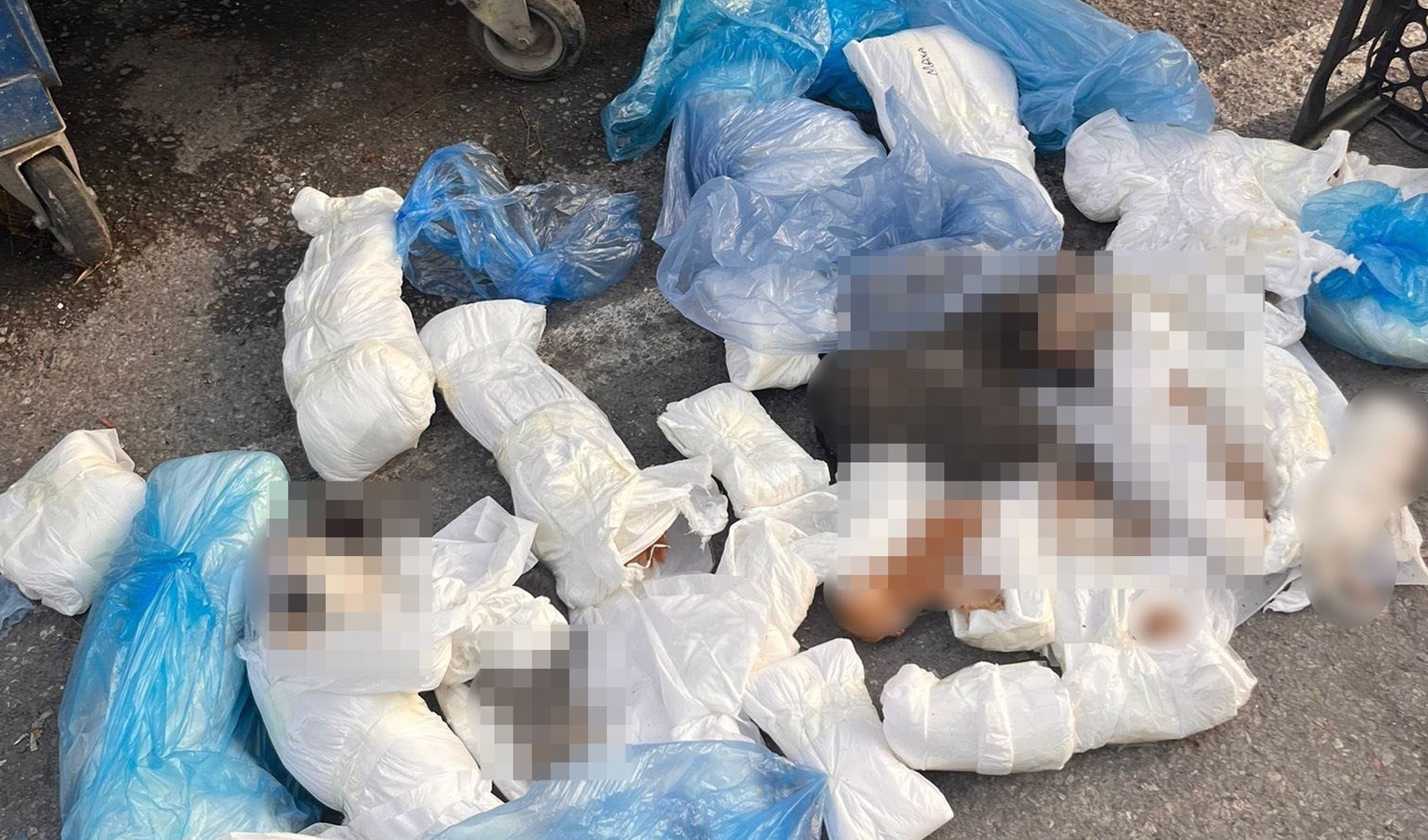 İzmir’deki ’33 ölü kedi’ vahşetinde yeni gelişme