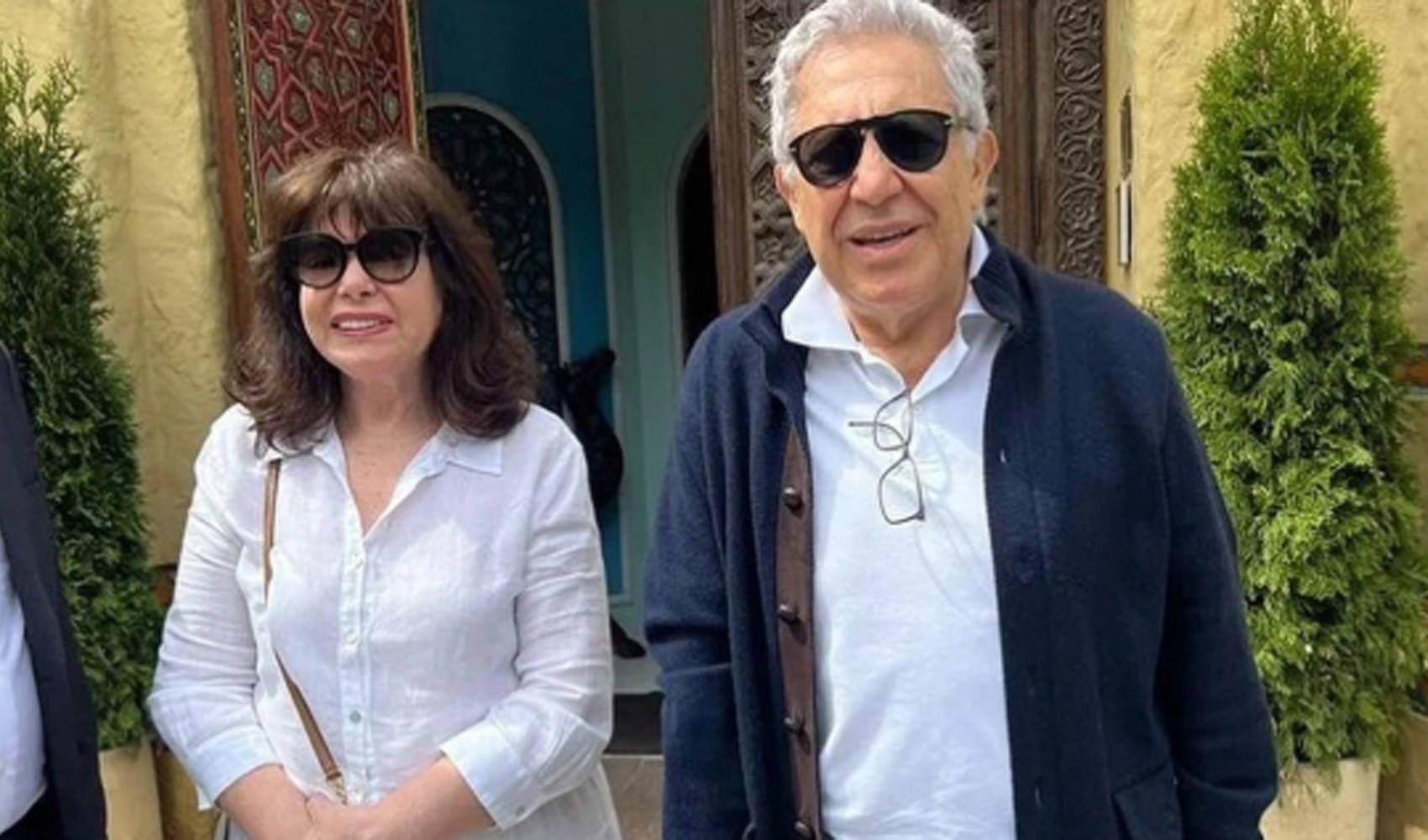 Zülfü Livaneli'nin eşi Ülker Livaneli geçirdiği kaza sonucu yaralandı