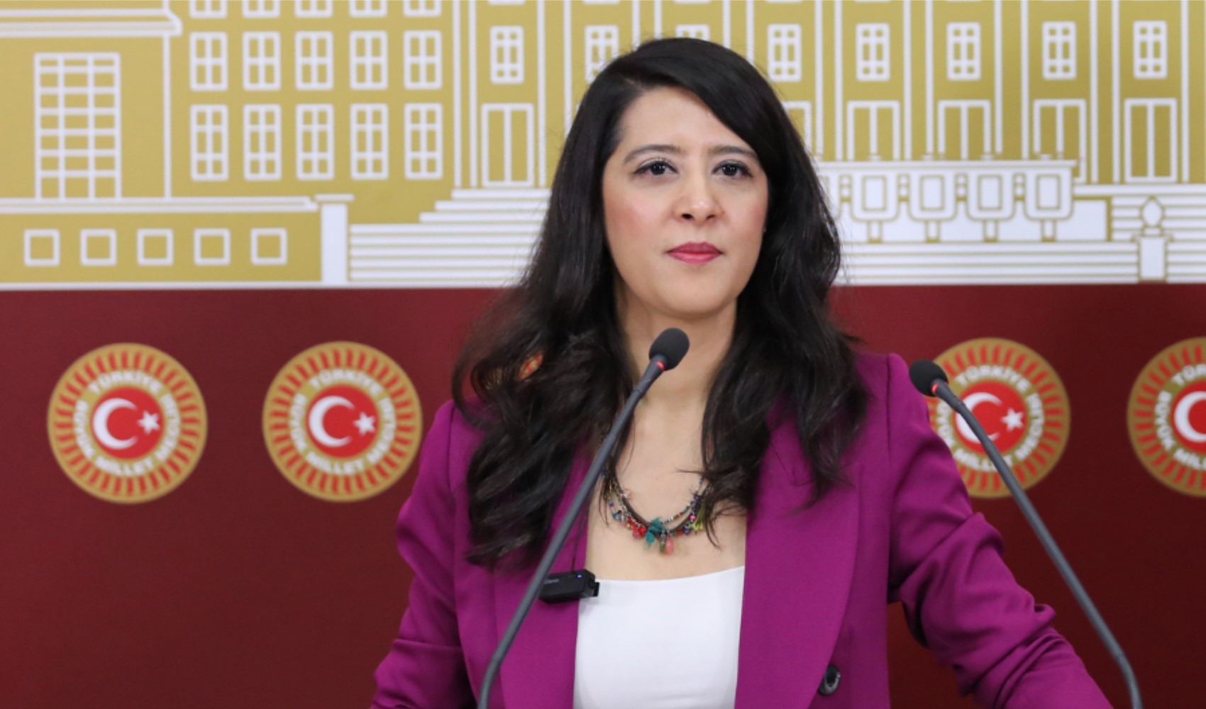 EMEP'li Sevda Karaca'dan Meclis'te acil çağrı: 'LGBTİ mahpuslar ölüm tehdidi altında'