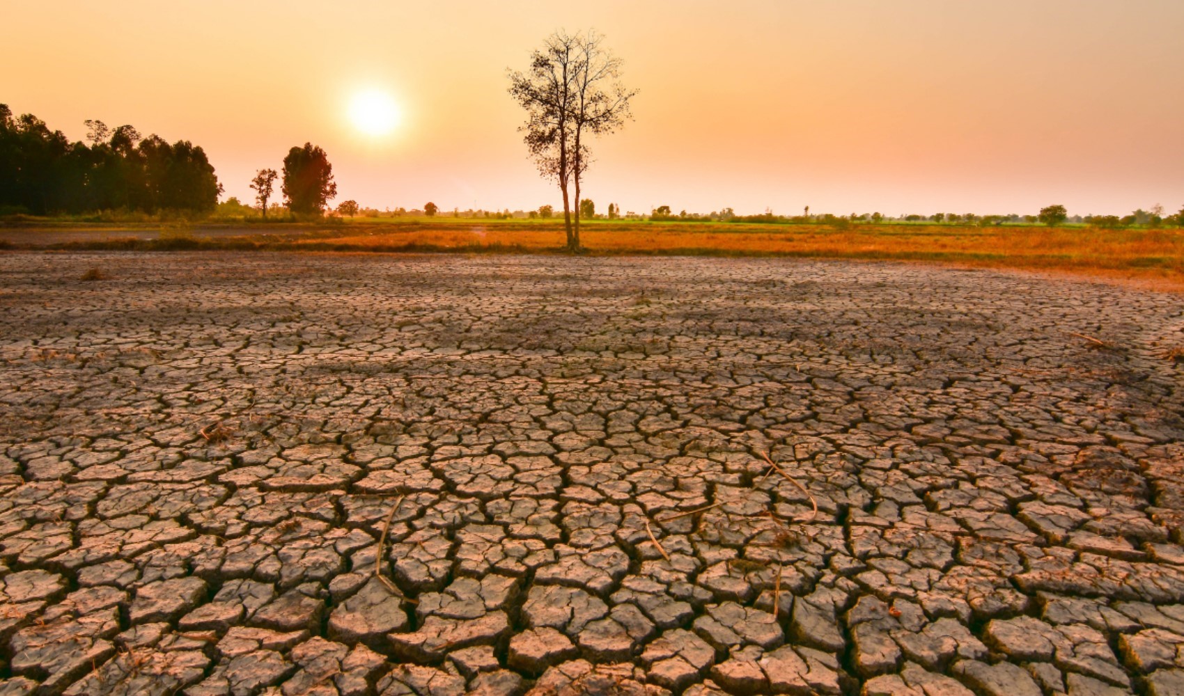 El Nino bu yazı kasıp kavuracak