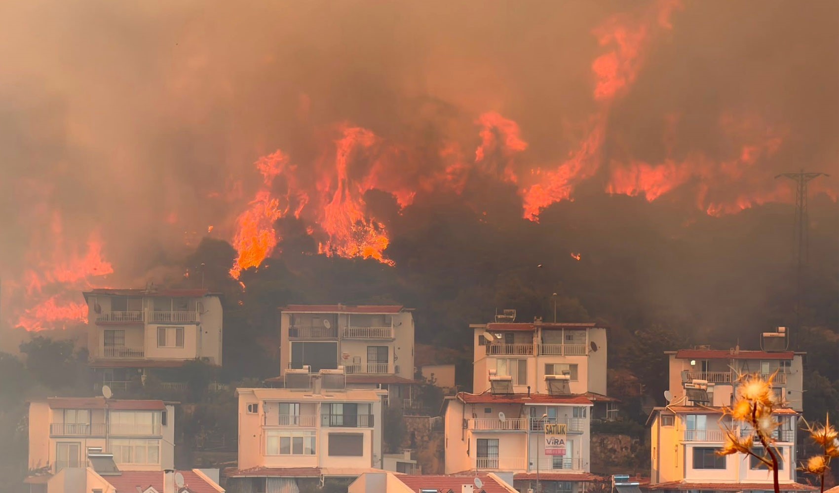 İzmir'de makilik alandaki yangın büyük ölçüde kontrol altına alındı