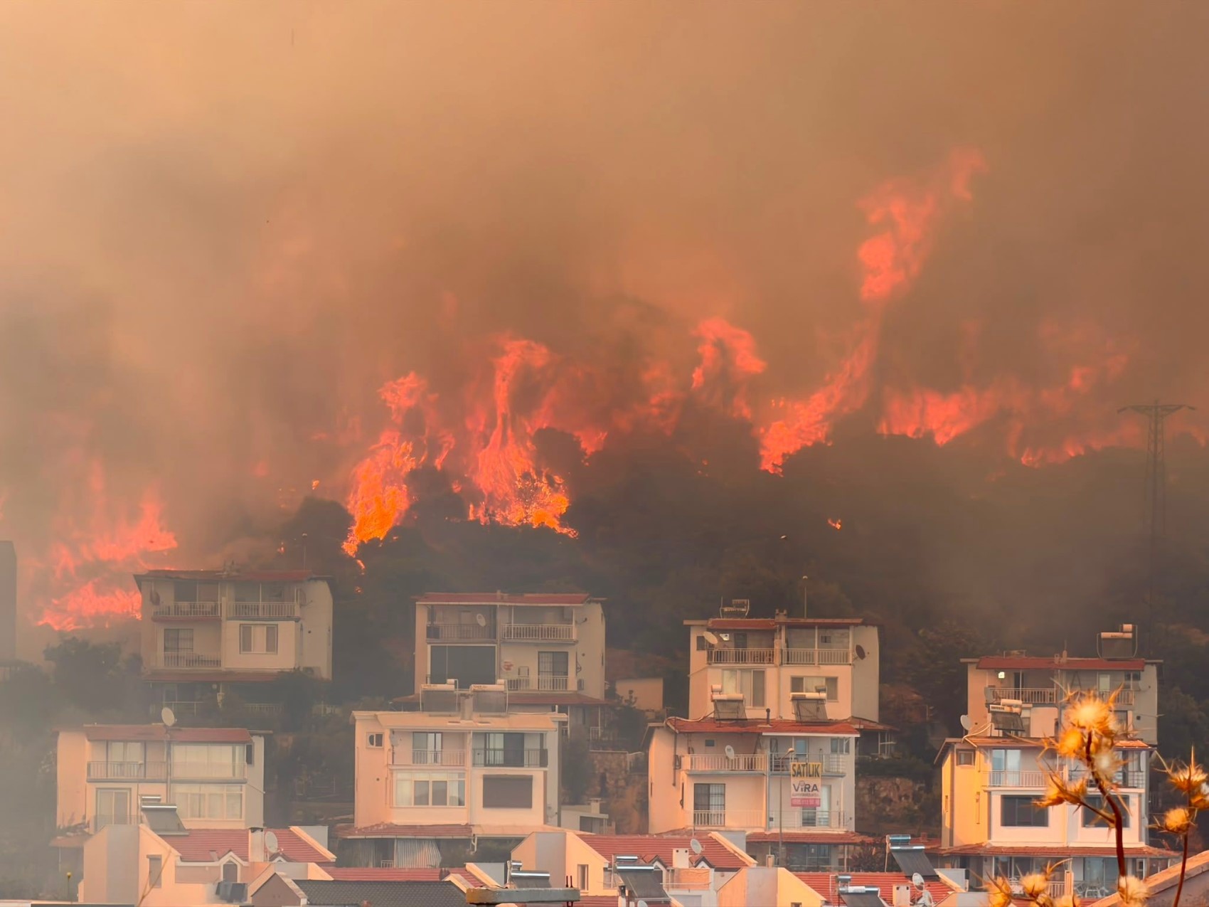 İzmir'de makilik alandaki yangın büyük ölçüde kontrol altına alındı: Tarım arazisinde başladı