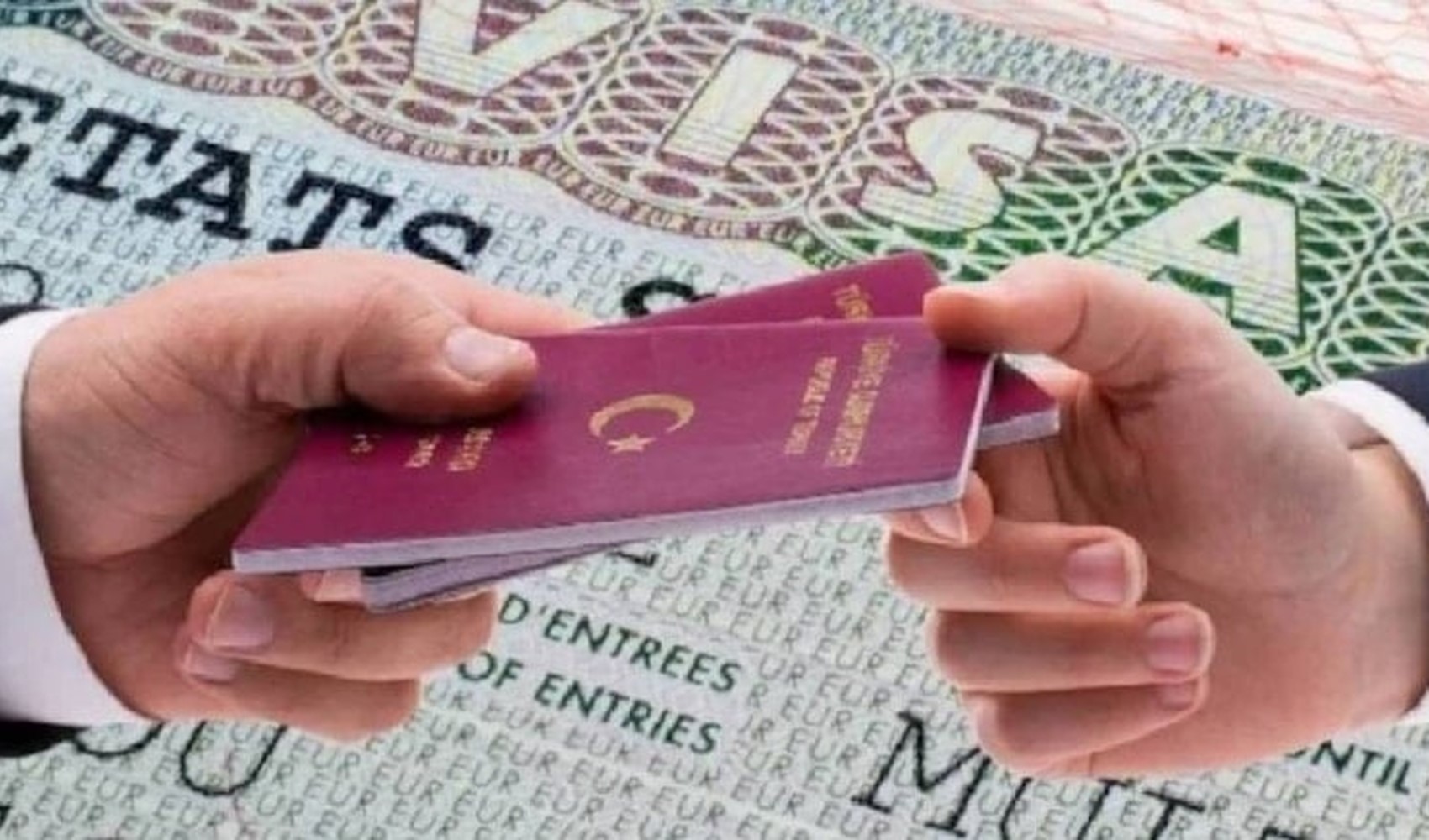 Schengen vizesi aracı şirketlerine randevu incelemesi: Yedi firma mercek altında