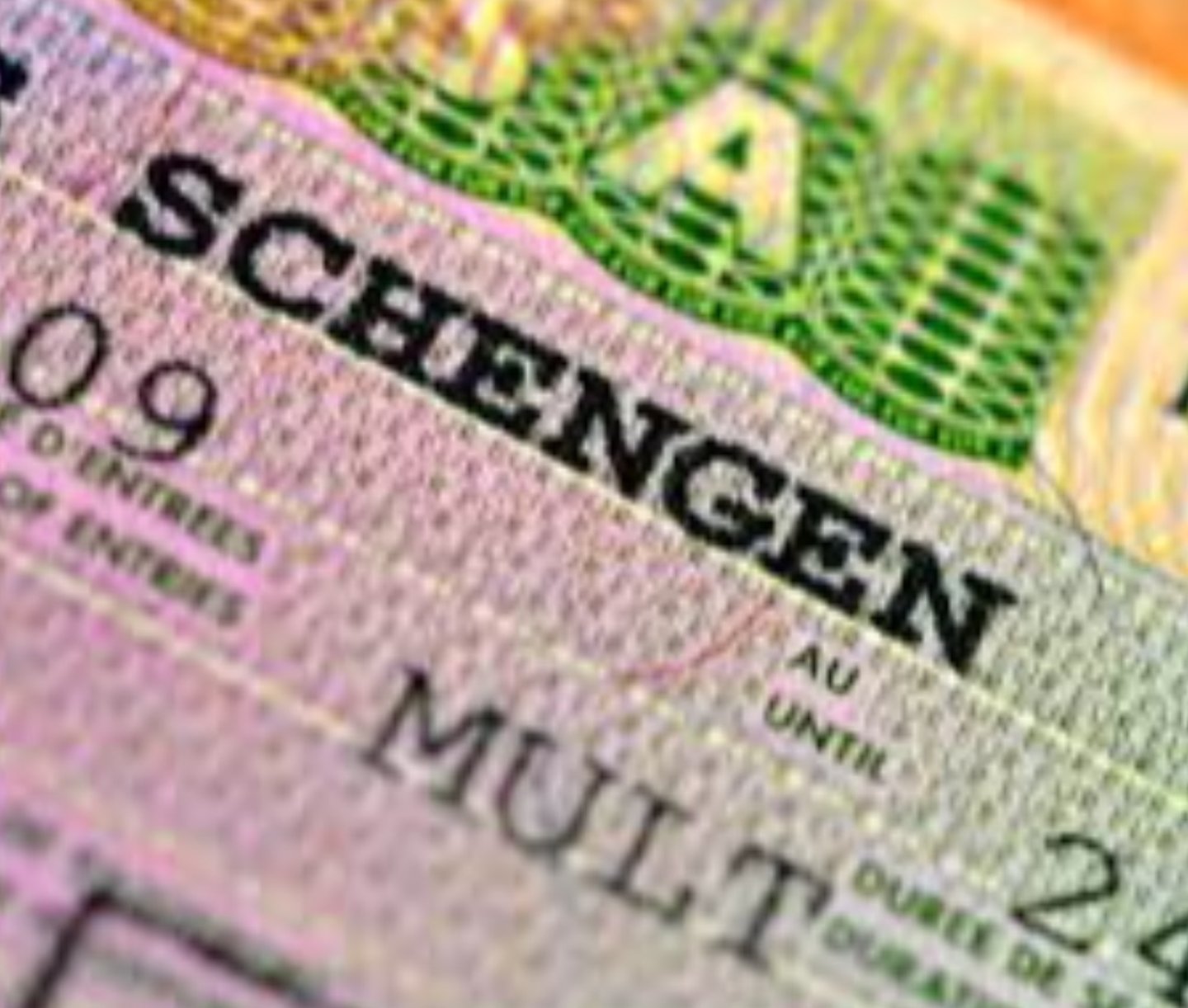 Schengen vizesi ret oranları