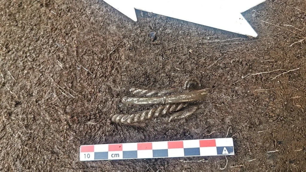 Toprak içinde ortaya çıkarılmış gümüş Viking bilezikleri ve ölçüm cetveli.
