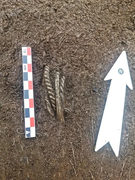 Kazı alanında ölçüm cetveli ve yön oku yanında görülen Viking bilezikleri.