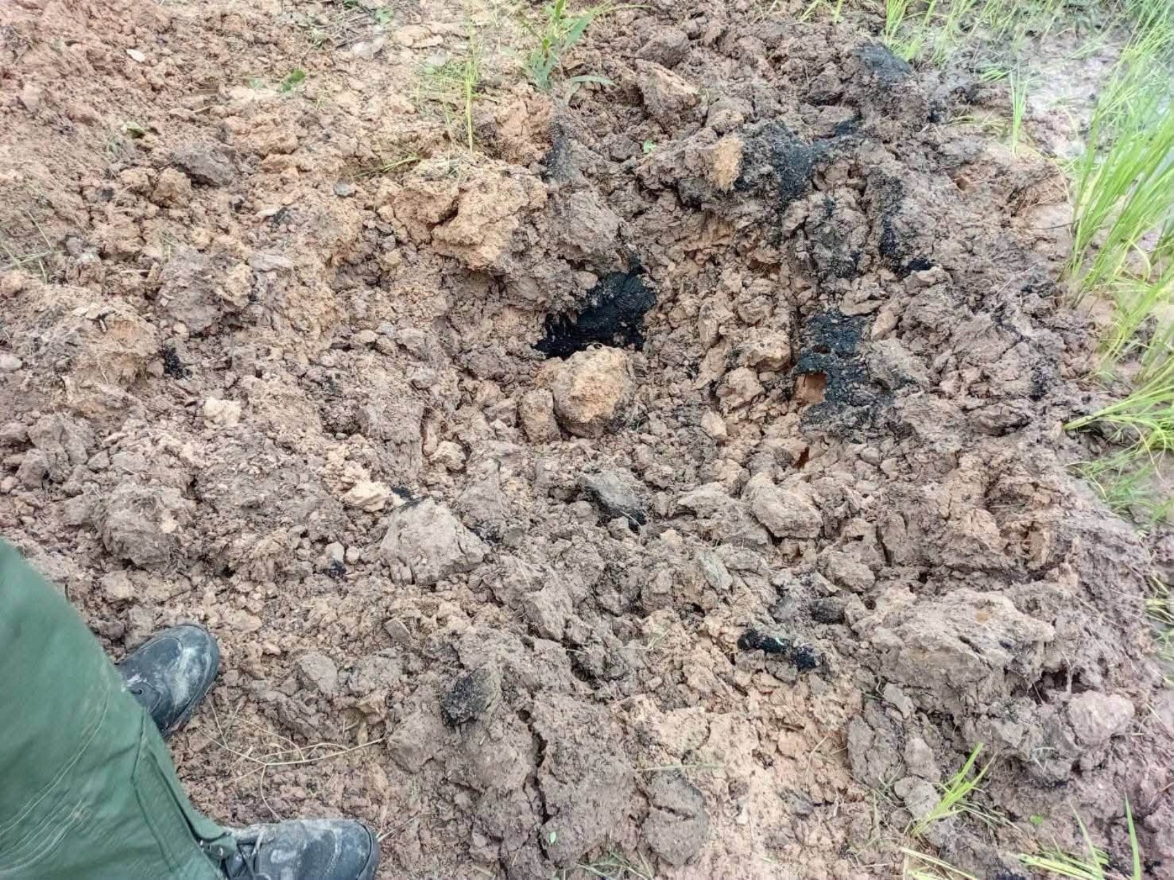 Evcil köpek, eve el bombası getirdi