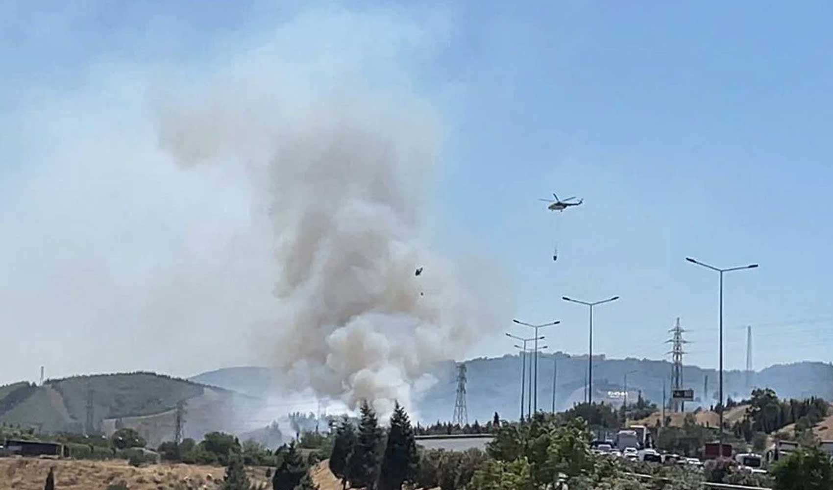 İzmir'deki yangın ormana sıçradı