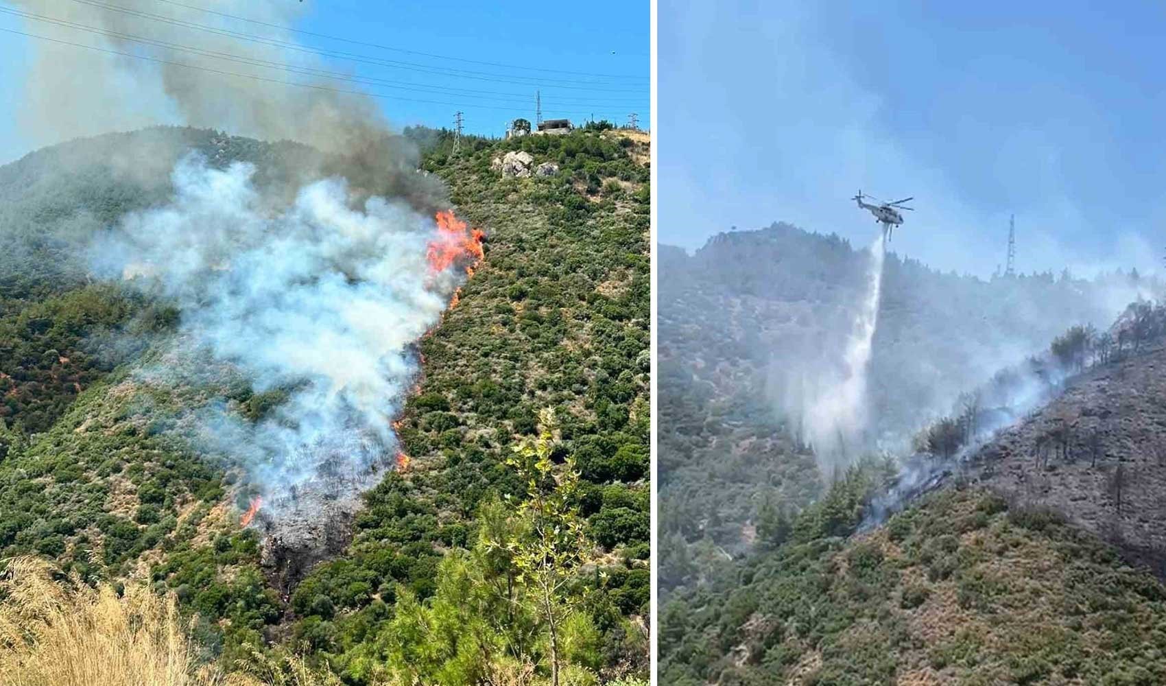 İzmir Narlıdere'de orman yangını: Havadan ve karadan müdahale ediliyor