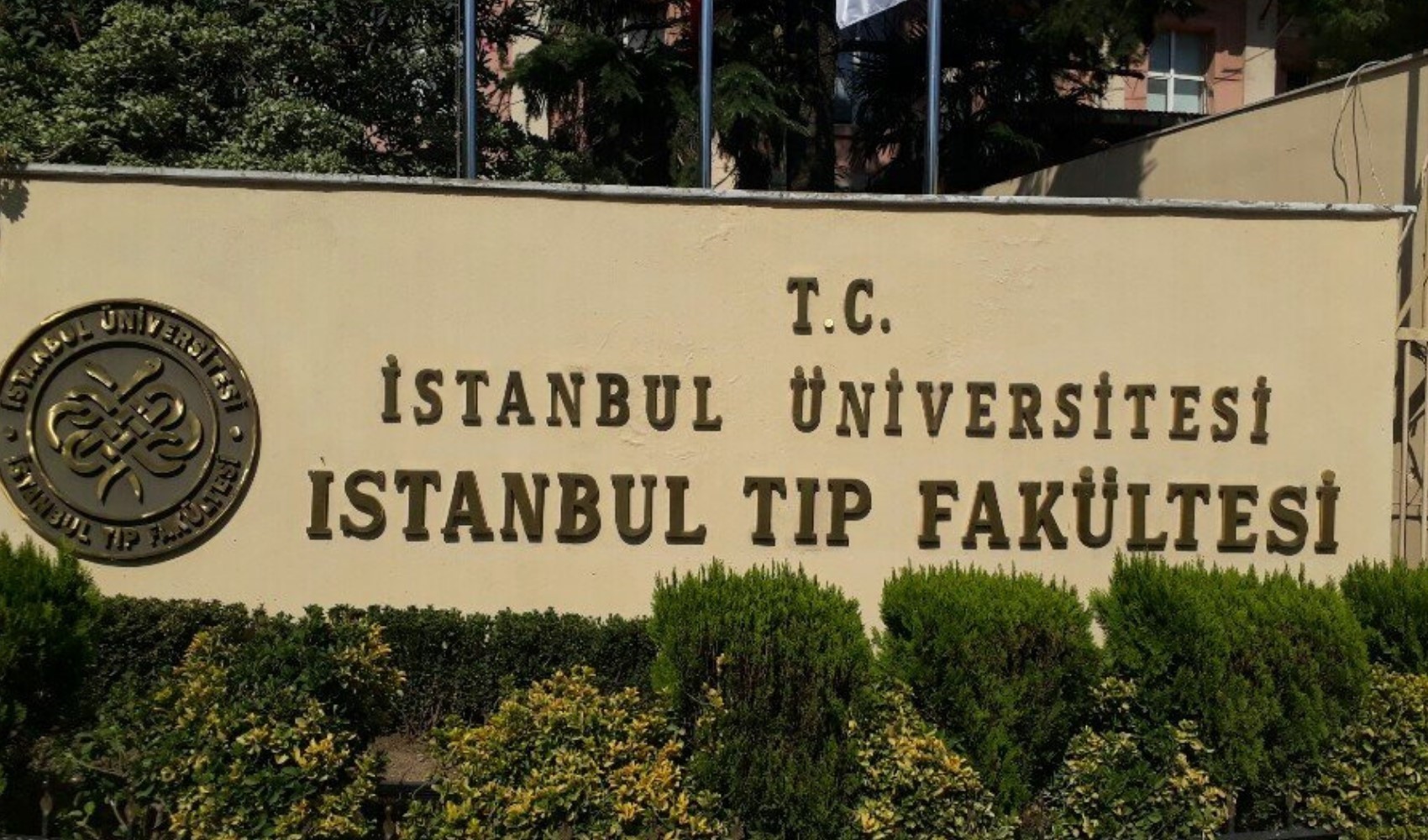 Çapa'da tartışma yaratan talimat! Sağlık turizmi hastalarına 'öncelik' yazısı gönderildi iddiası
