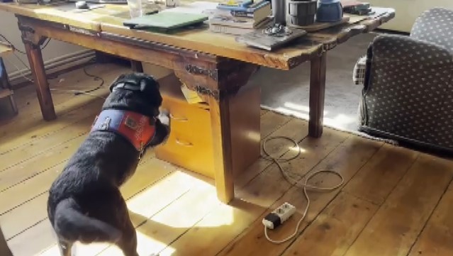 Narkotik köpeğinin çalışma masasının bulunduğu odada arama yaptığı görüntü.