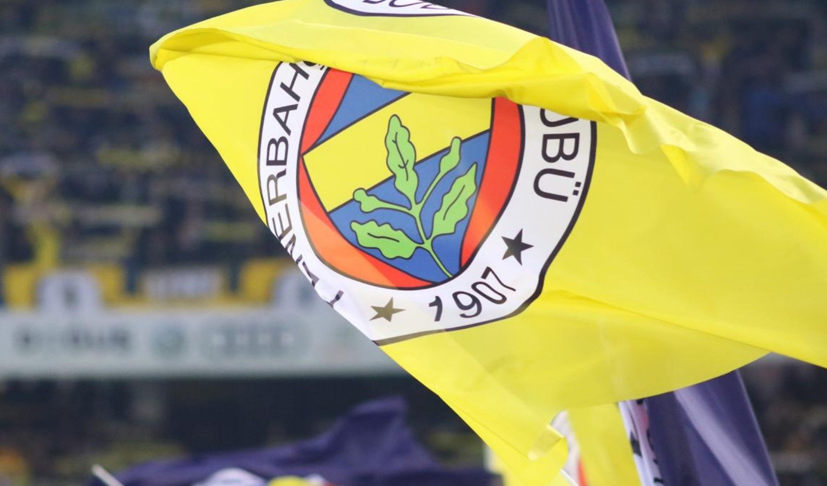 Fenerbahçe'de yeni yönetim kurulu açıklandı: Mahmut Uslu yeni dönemde yer almadı