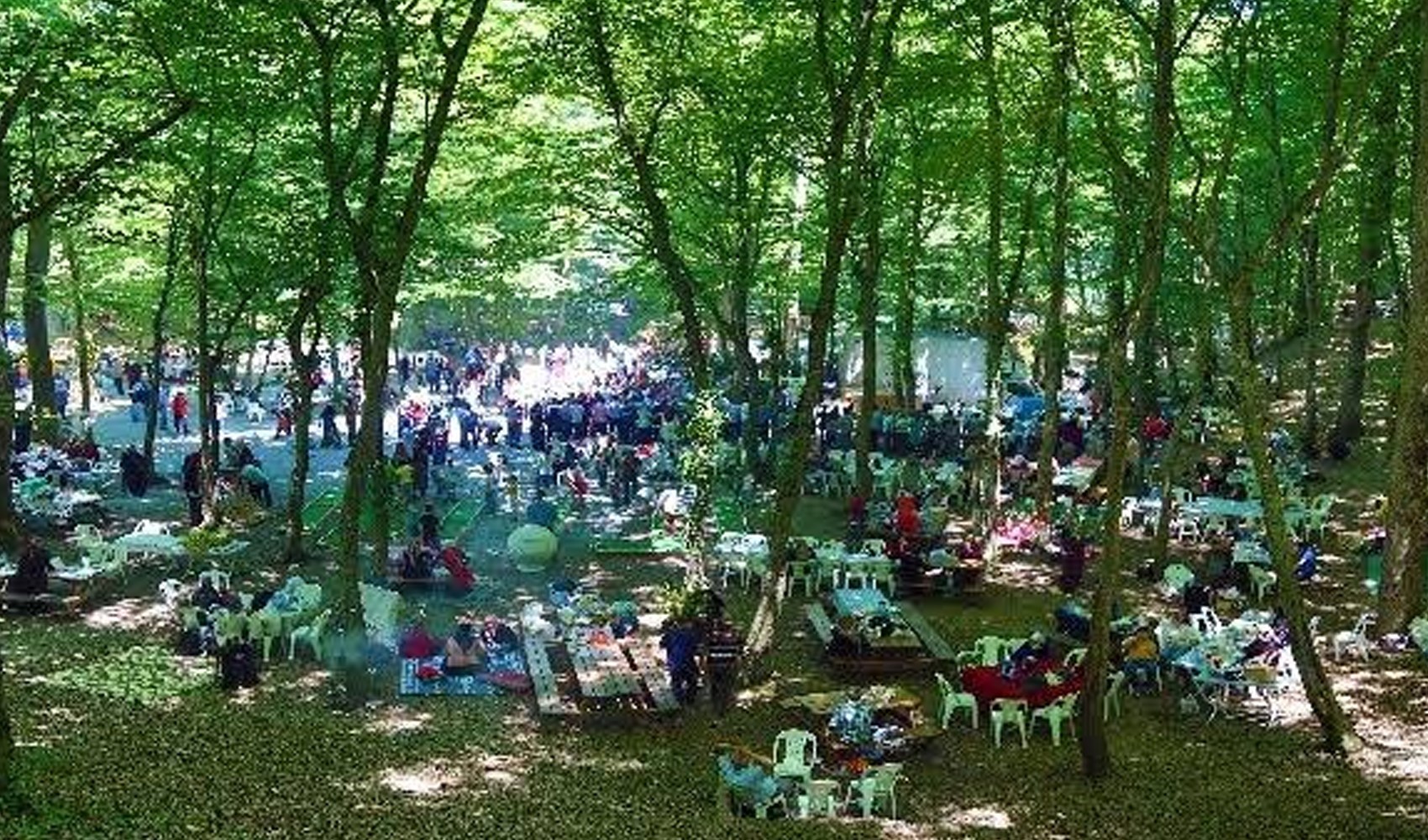 Repérés par drone : des pique-niqueurs bravant l'interdiction d'accès aux forêts écopent d'une amende d'un million !