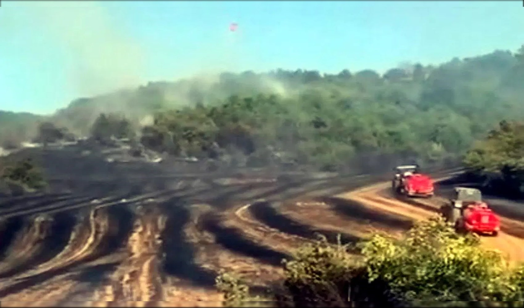 Un feu de chaume s'est rapidement propagé à une zone forestière