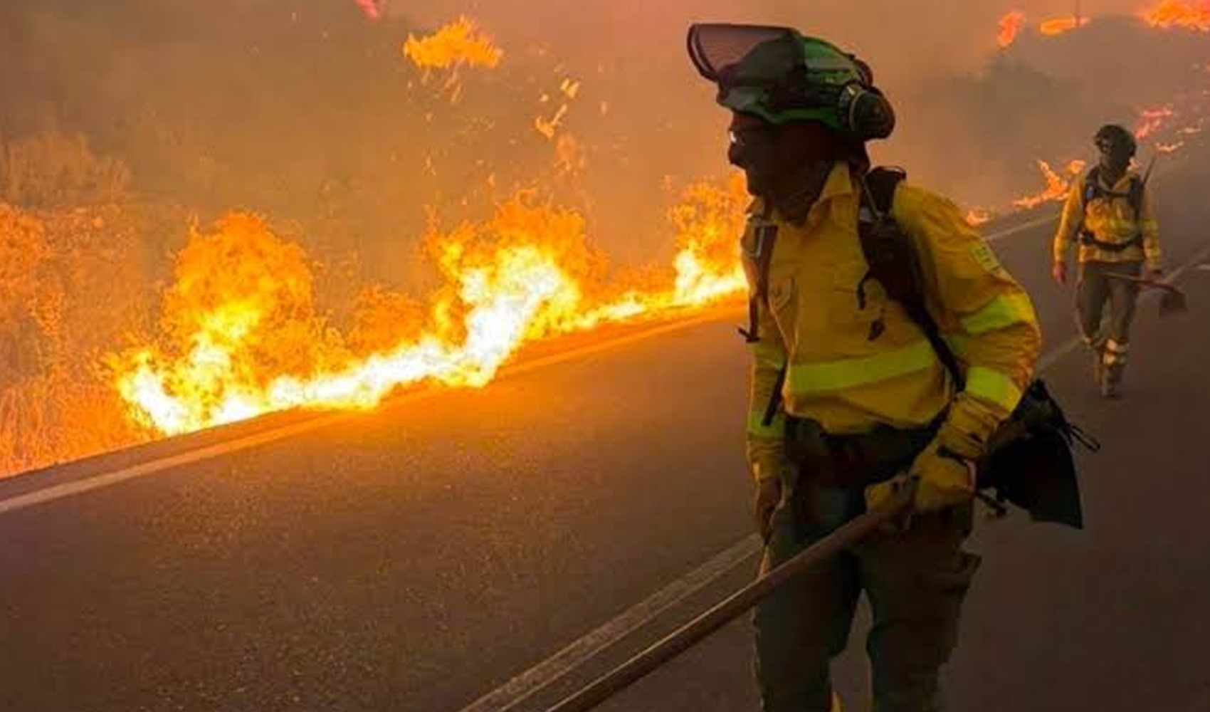 Le bilan des incendies s'alourdit en France : 116 000 hectares partis en fumée depuis le début de l'année