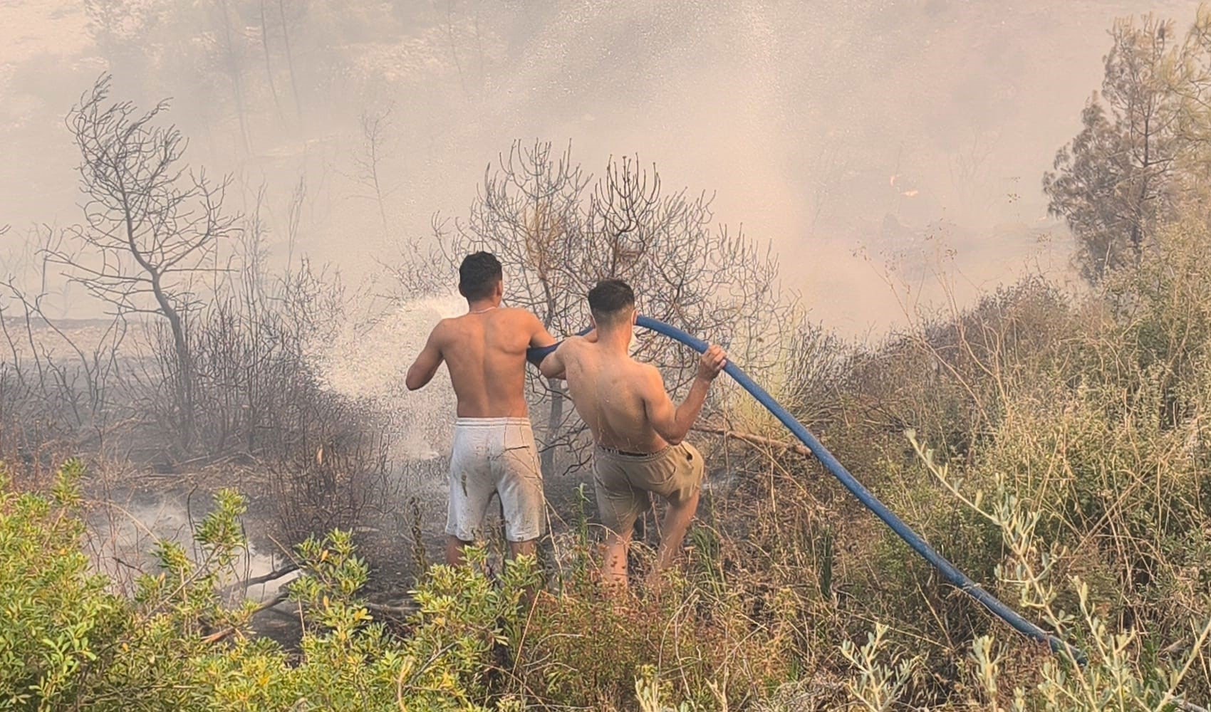 Muğla'da alevlere karşı omuz omuza mücadele