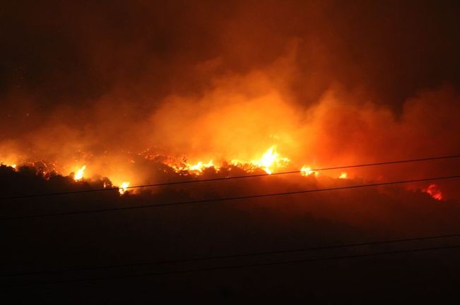 Gece saatlerinde ormanlık alanda yayılan alevler ve yoğun duman.
