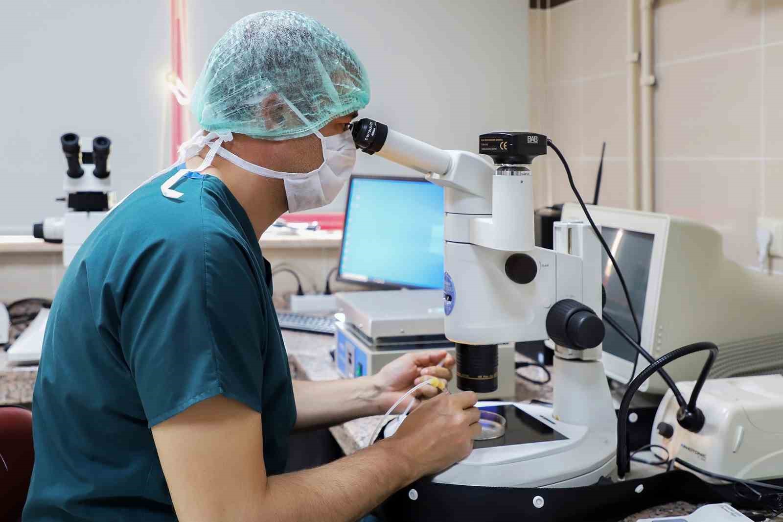 Laboratuvarda mikroskopla çalışan bir araştırmacı.