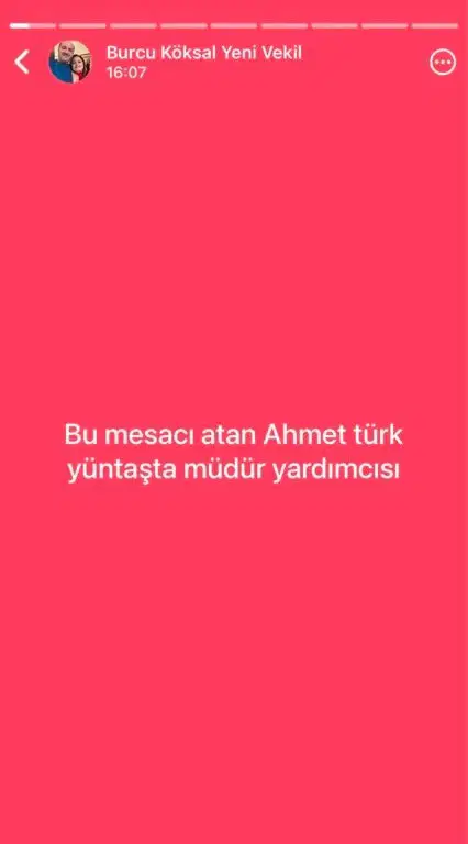Pembe arka planlı WhatsApp durum ekranında mesajı gönderen kişiye ilişkin not bulunan görüntü.