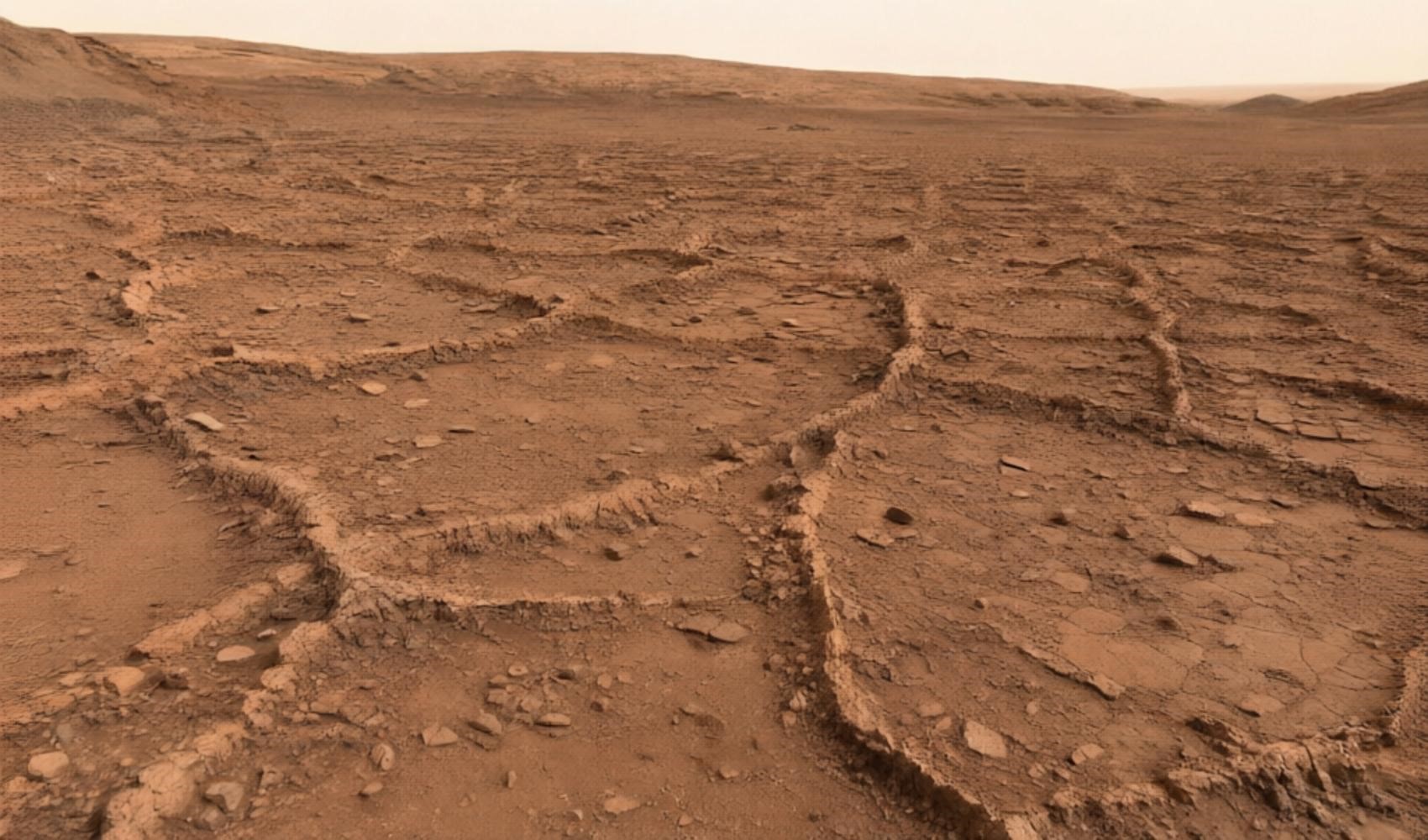Mars’ta kilometrelerce uzanan ağ biçimli kaya izleri eski yer altı sularına işaret ediyor