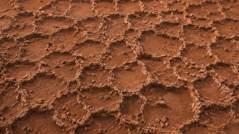 Mars yüzeyinde kızıl renkli, ağ biçimli kaya sırtları.