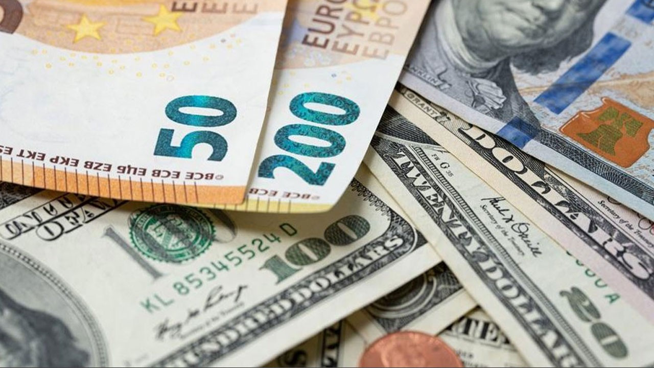 Euro ve ABD doları banknotlarının yakın plan görüntüsü.
