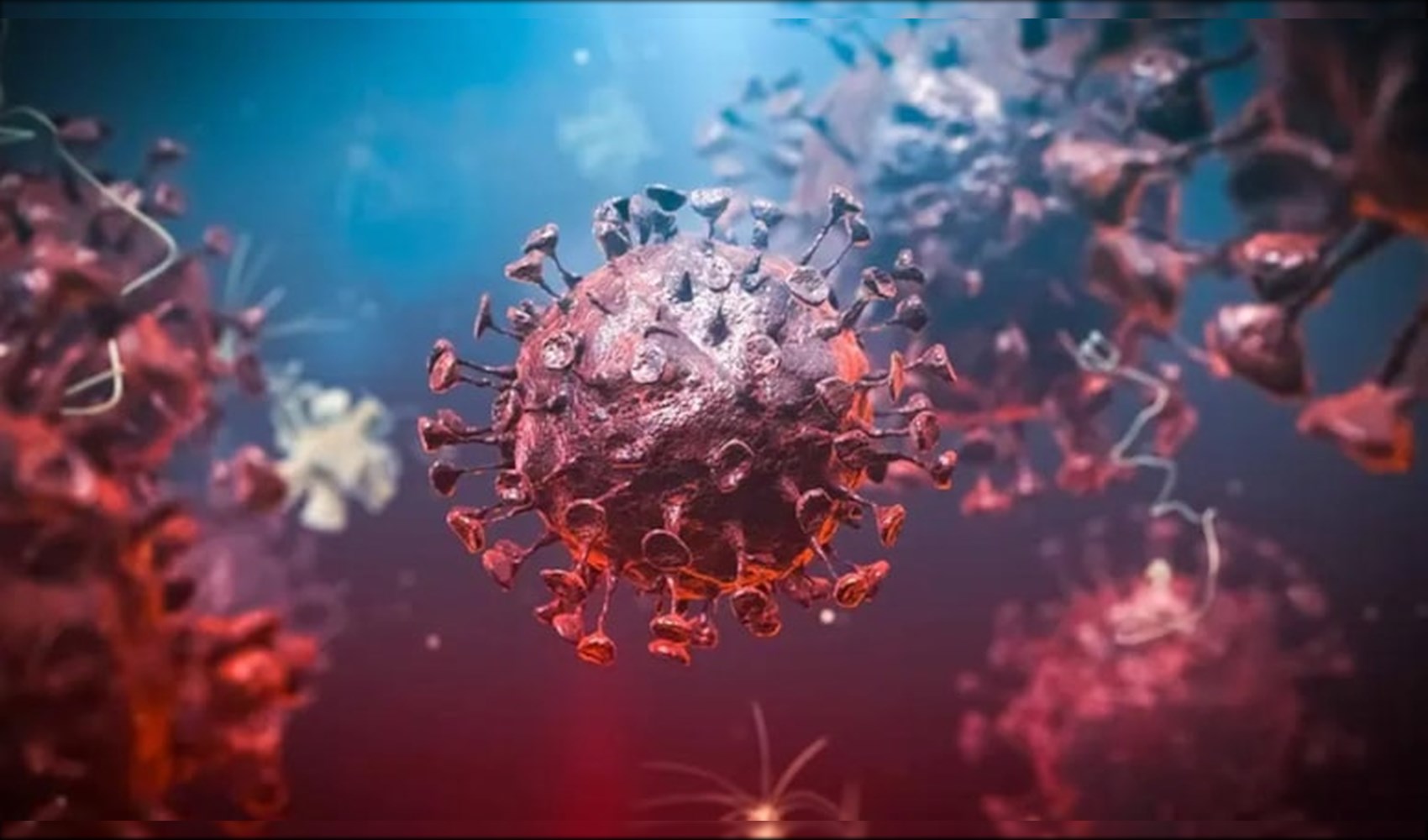 Ebola salgınında kritik artış: Uluslararası destek çağrısı
