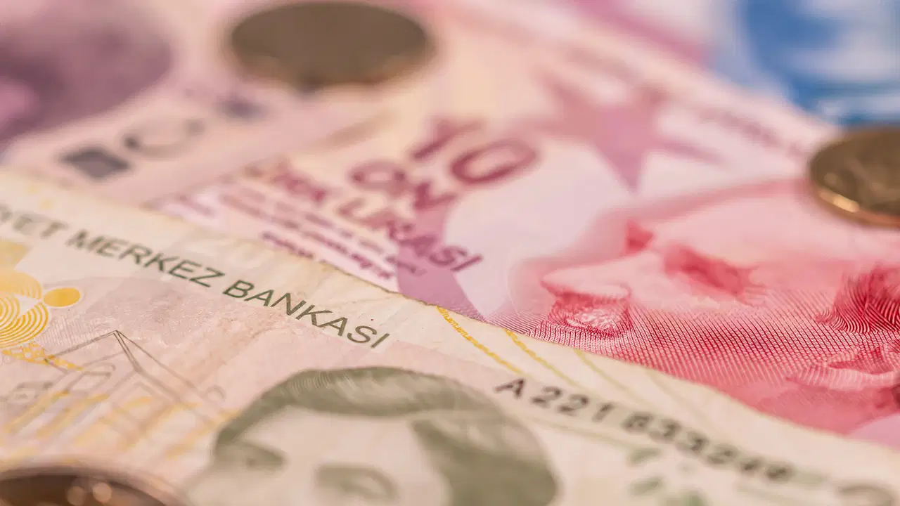 Yakın planda Türk lirası banknot ve madeni paralar