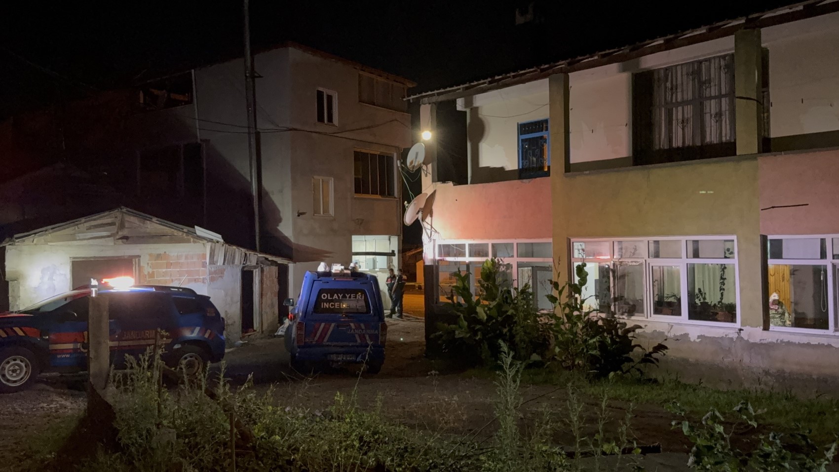 Ağacın dalını kestiği için amcasını öldürdü
