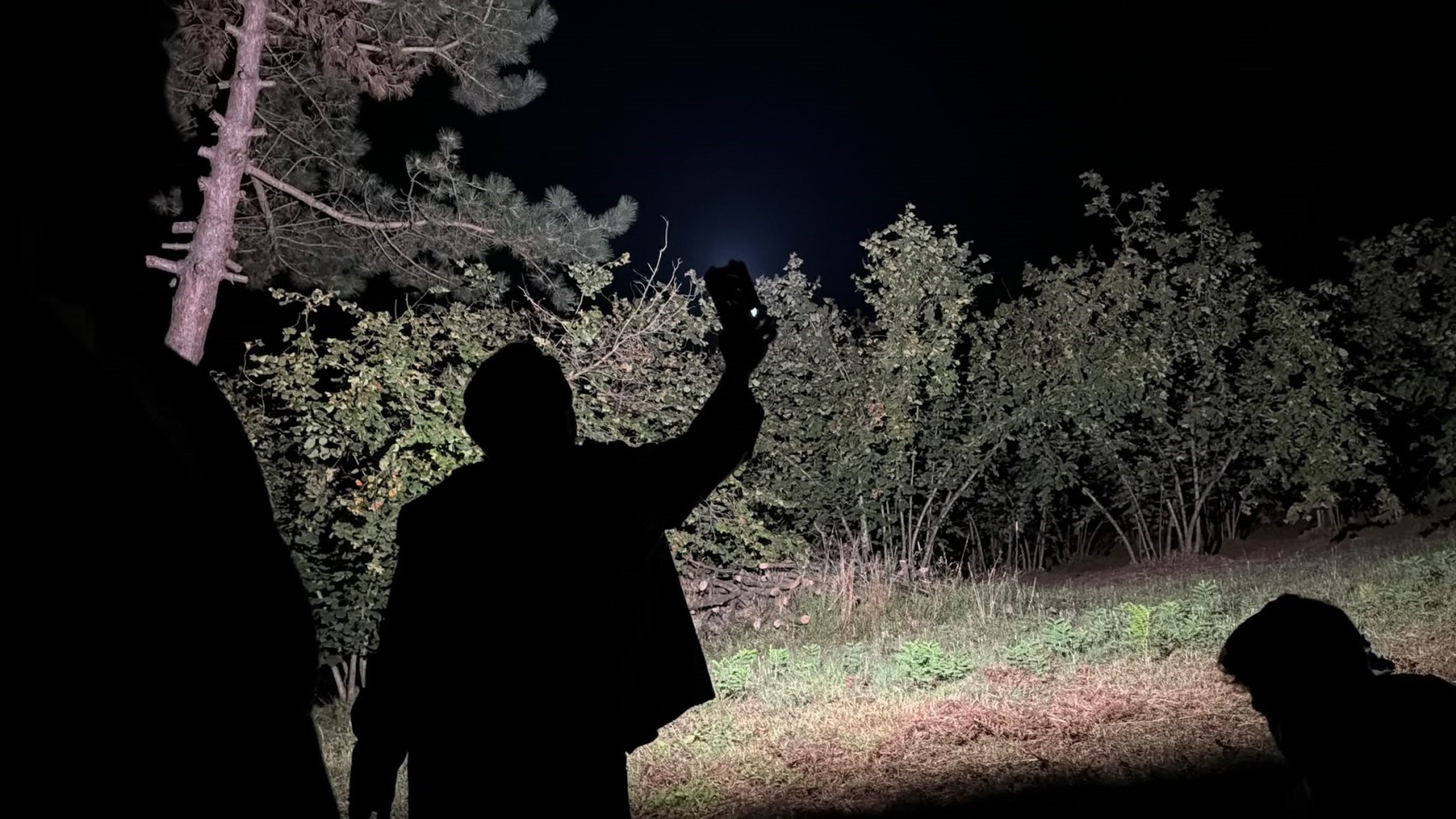 Perseid meteor yağmuru ilgi ile izlendi