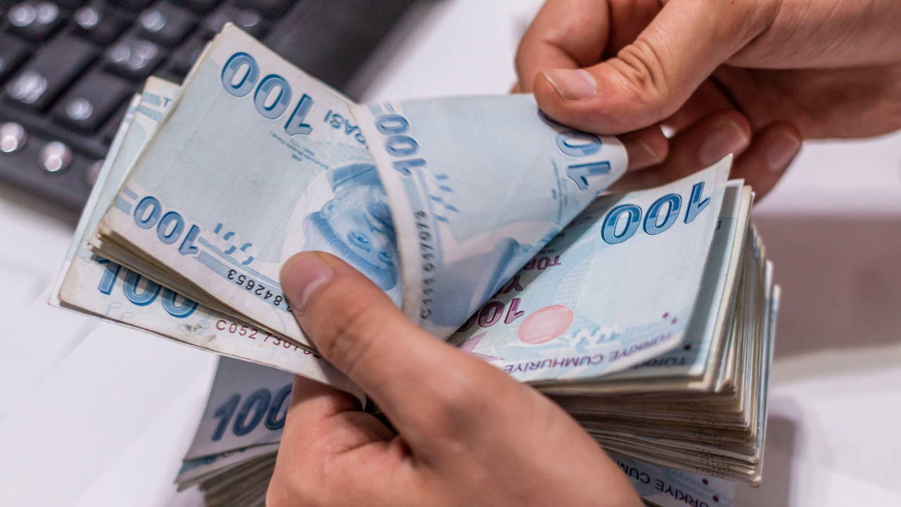 Elde sayılan Türk lirası banknotları