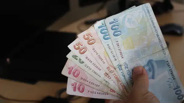 Farklı kupürlerde Türk lirası banknotları